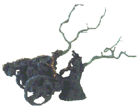 Carro: Bronce. 1994. Pieza original